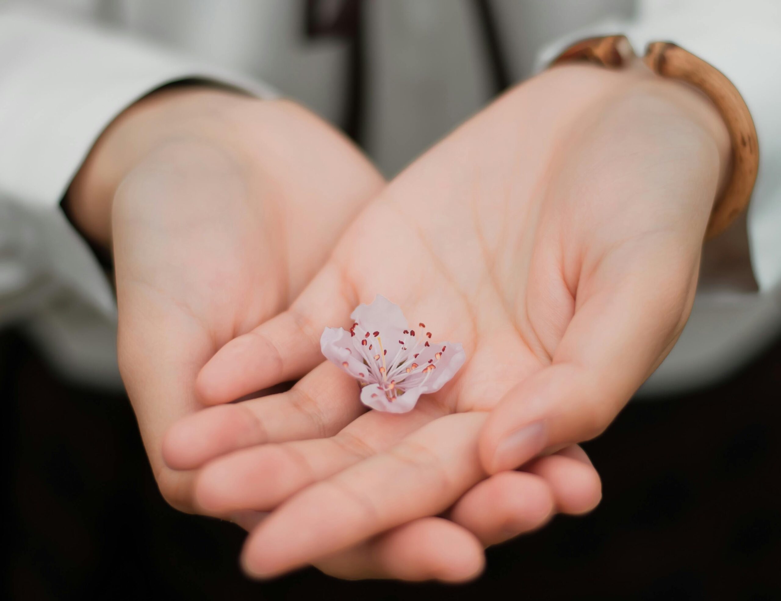 Close-up of hands gently holding a delicate pink flower symbolizing care and nature.